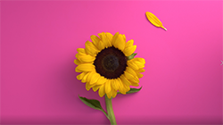 a614482a-133f-42a8-b51e-f30682a20b16.png