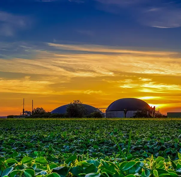 A Farm Carrying Out Anerobic Digestion