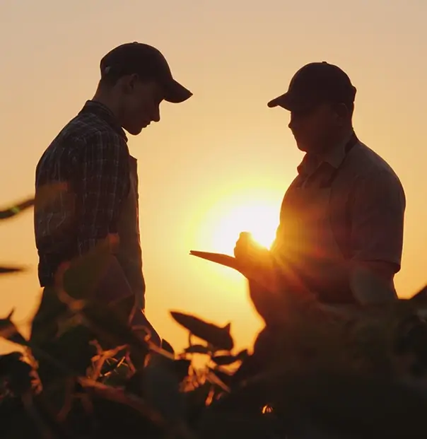 Farmers In A Field