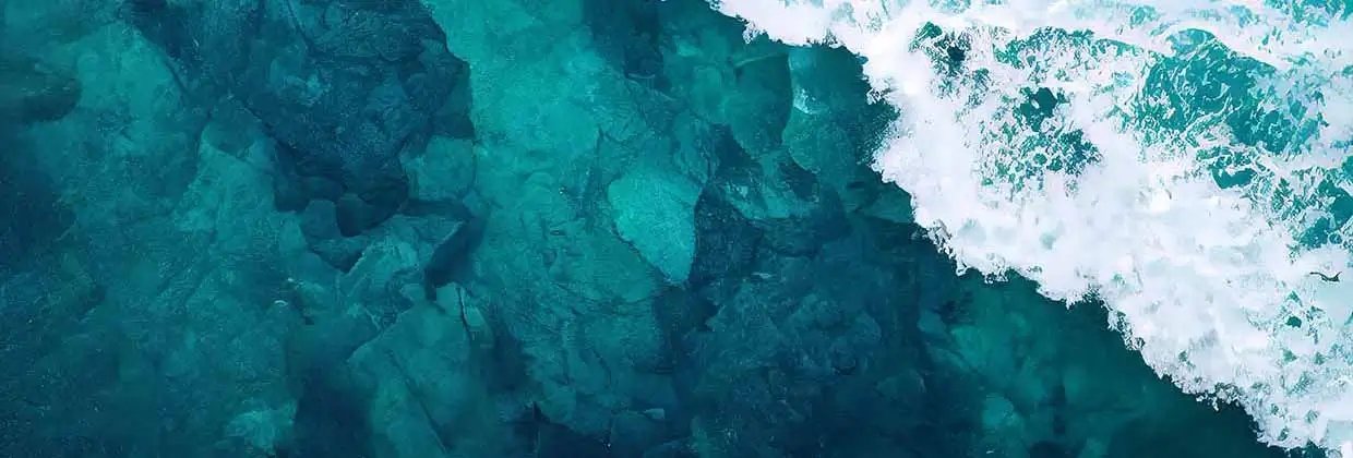100Green Tide FAQs